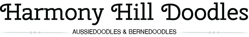 Harmony Hill Doodles Logo Black Web